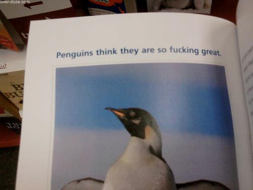 ***ing penguins