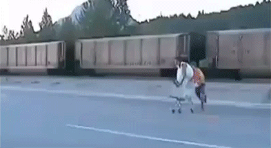 I don't know what they expected, but the landing was quite cool