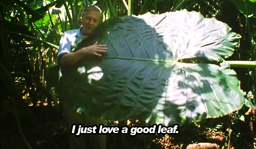 Oh! Right there! MY CHILDHOOD DREAM!
