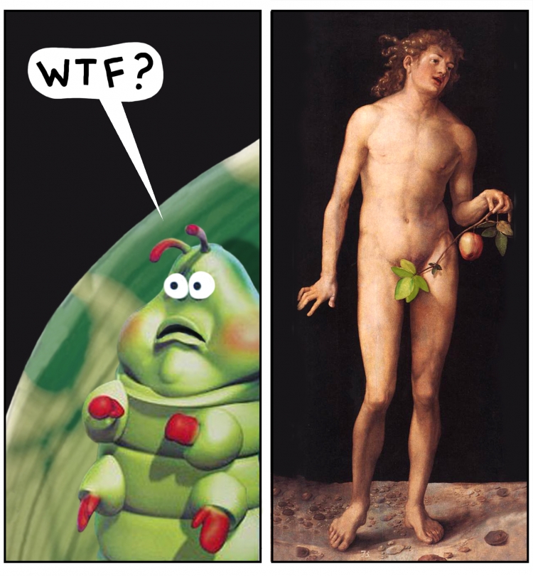 You picked the wrong leaf