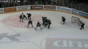 I went to a fight and a hockey game broke out