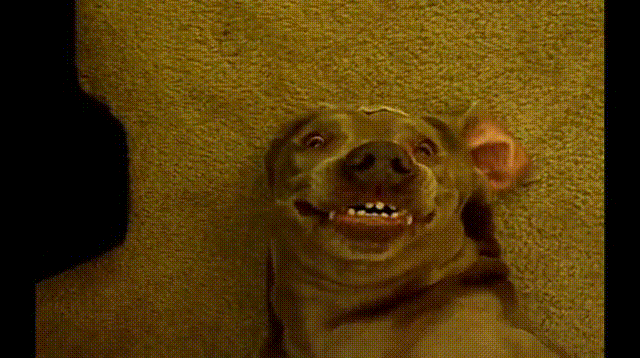 MFW someone takes too long to snap a photo.