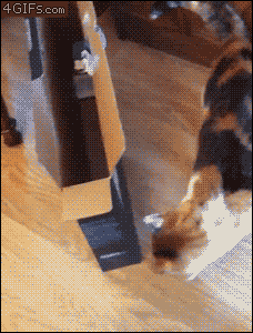 me when i see the small gap i could only fit into when i was little