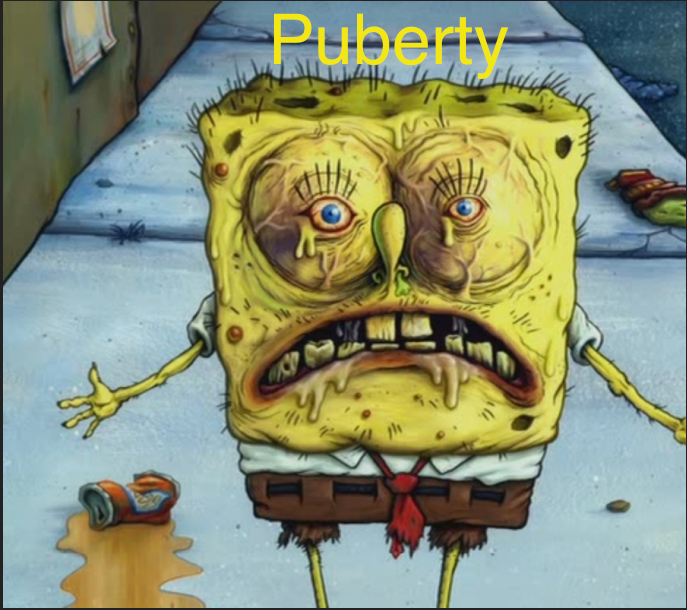 Puberty: the truth