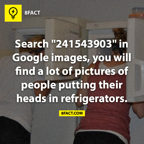 8 fact