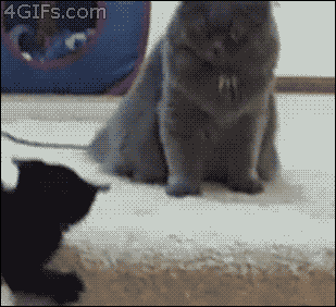 Critical hit!