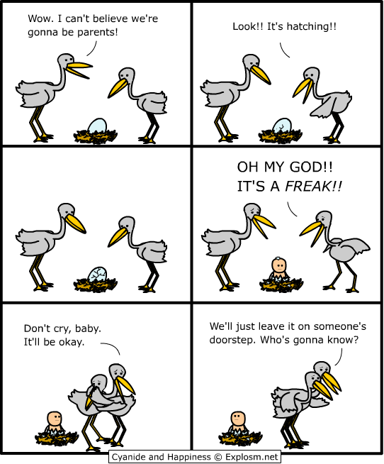 How babies are born