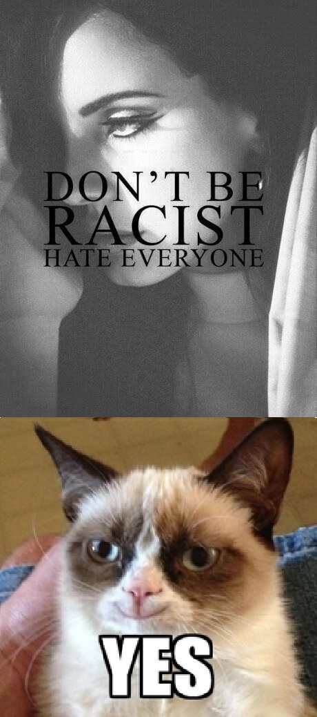 grumpy cat agrees