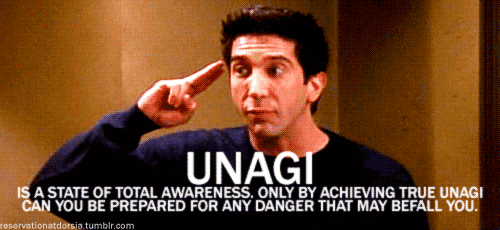 My first thought when my friend said they love Unagi