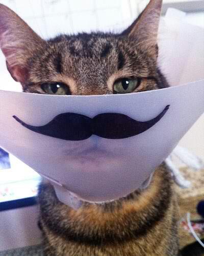 The cone just got funnier