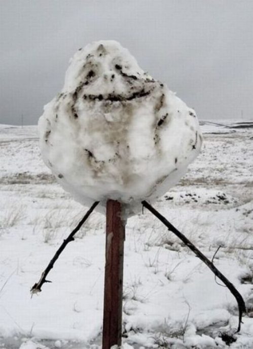 Forever a snow.