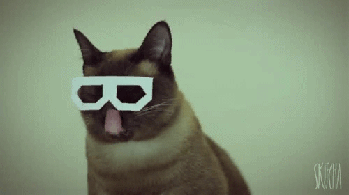 Skifcha