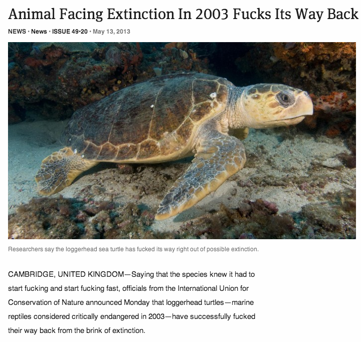 theonion is the best