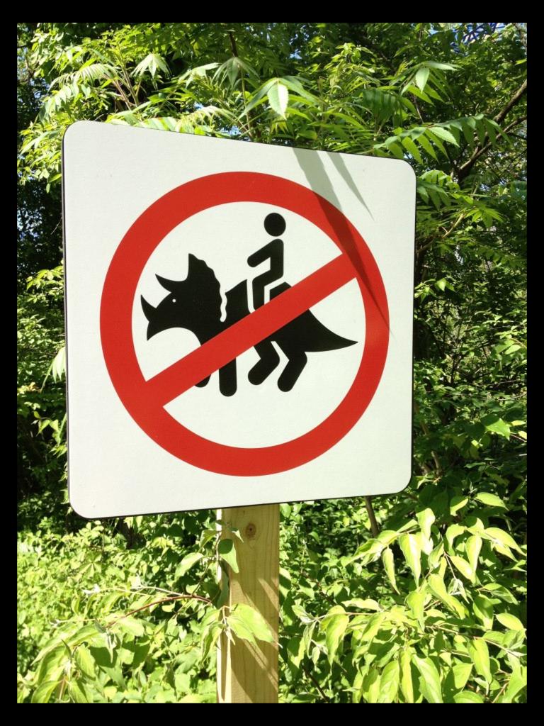 Darn it, now I have to find another way to get to work!
