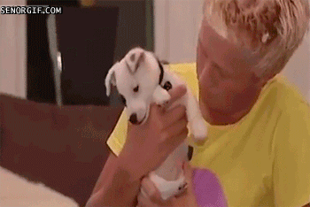 I got your nose