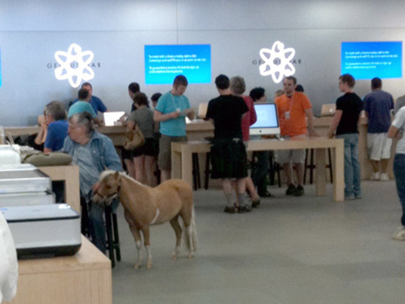 just buying a new iphone WITH MY ***ING PONY