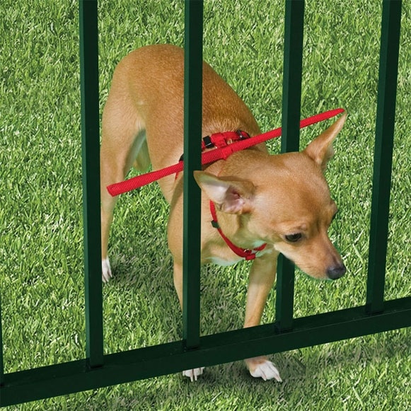 Don't fix the gate, fix the dog