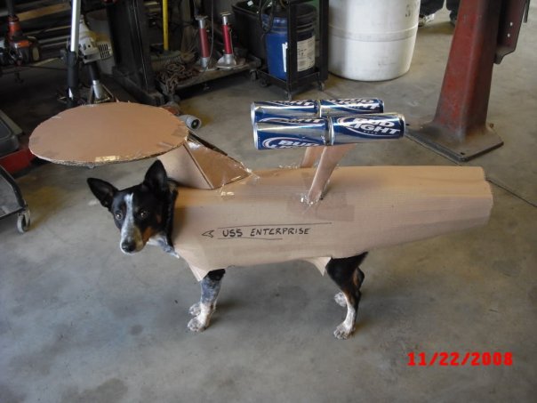 Animal cruelty is so wrong. Except when it's right.