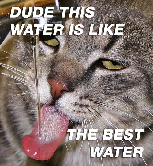 dude try this water