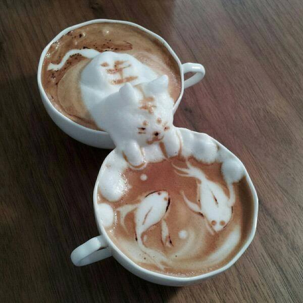 latte cat
