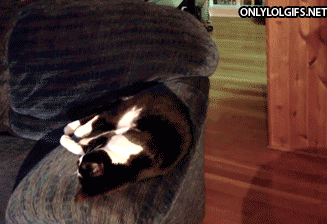Sudden nap disruption