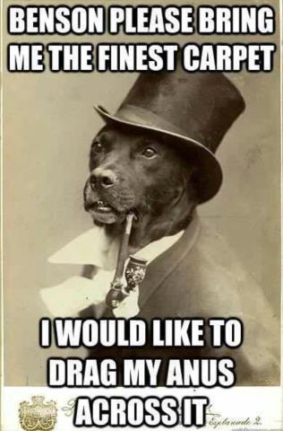 Like a sir