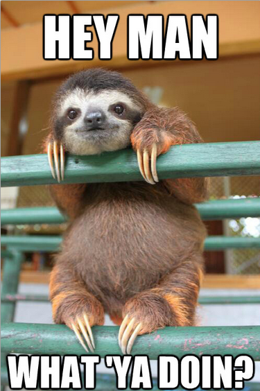 We all love sloths