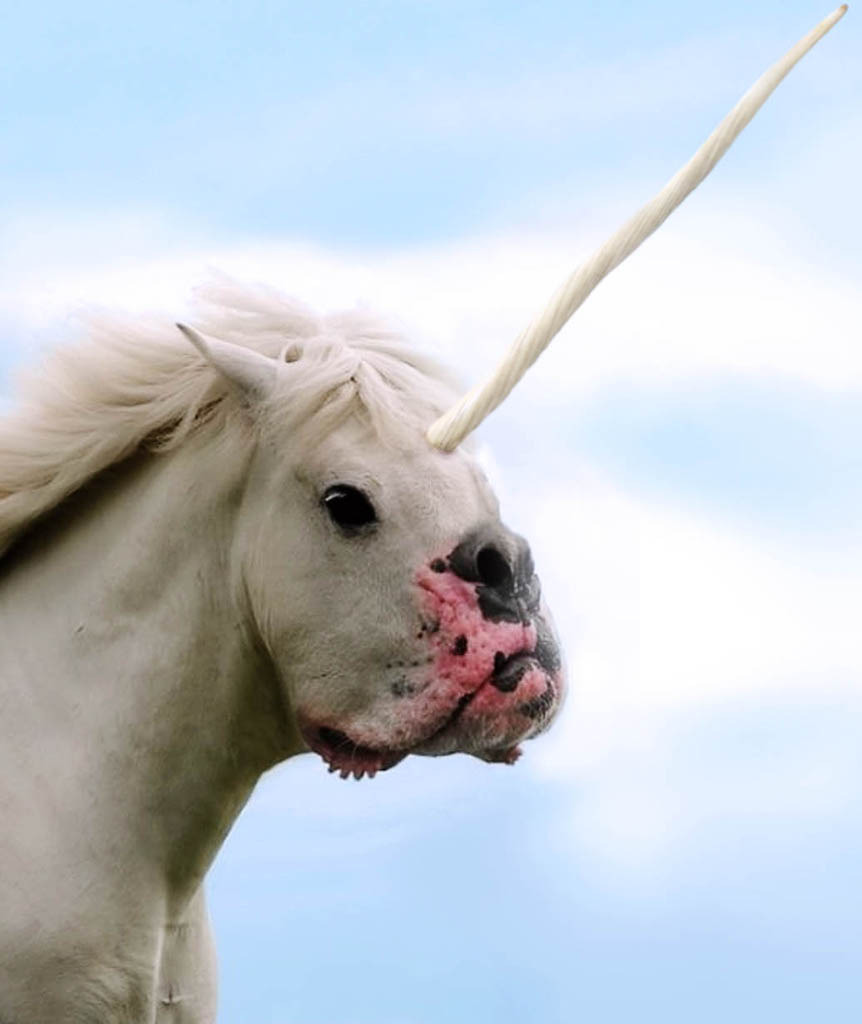just googled "majestic internet creature" and..