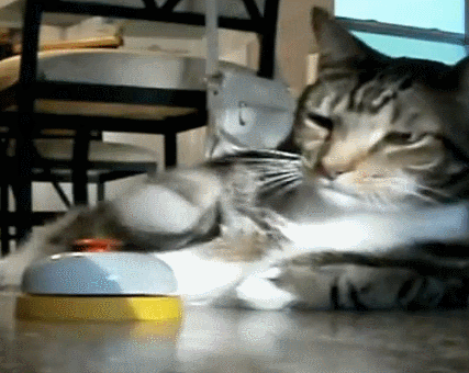 A mouse, please!