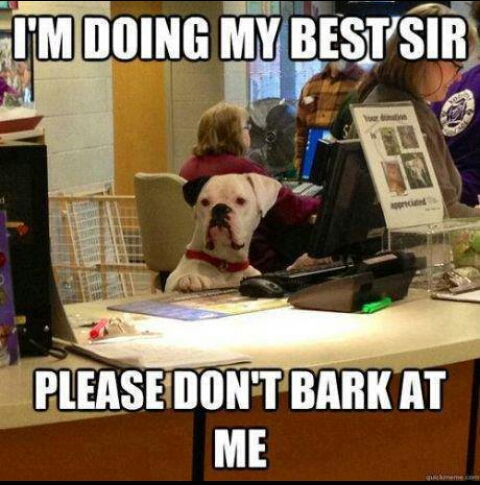 Poor dog.