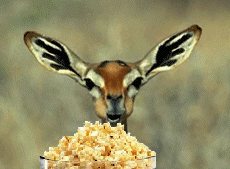 when i 'm watching drama unfold on facebook