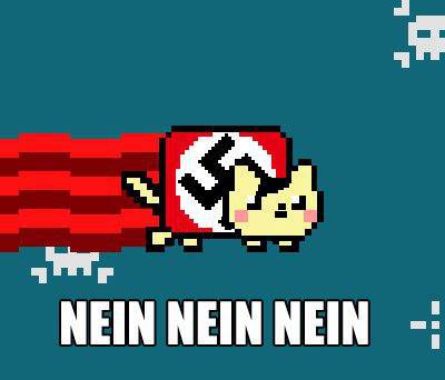 Nein Kat