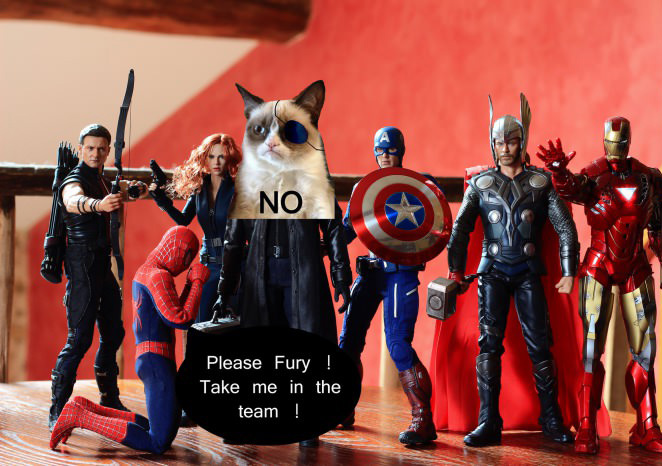 Grumpy fury