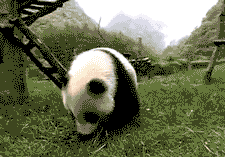 Well, that is the cutest thing I ever seen.
