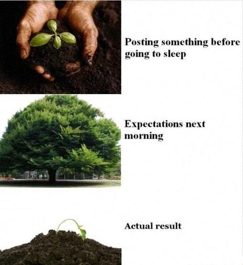 Every damn night...