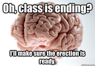 Scumbag brain