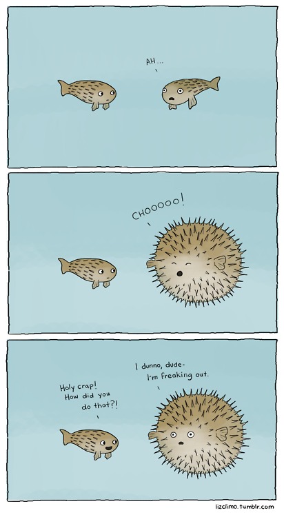 The awkward moment when you realize that you're a puffer fish...