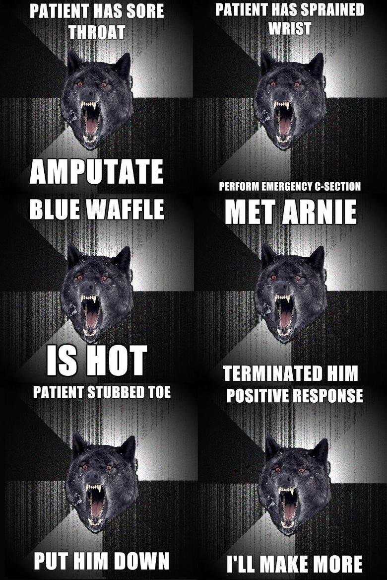 Insanity wolf in a hospital