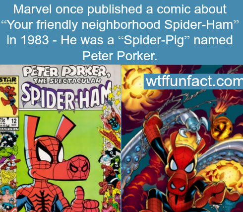 Marvel onced published a comic "Spider-Ham"