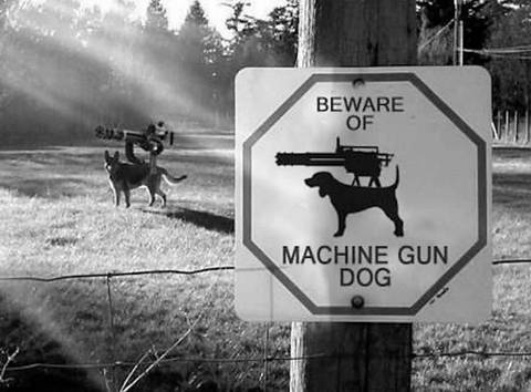 better than cerberus