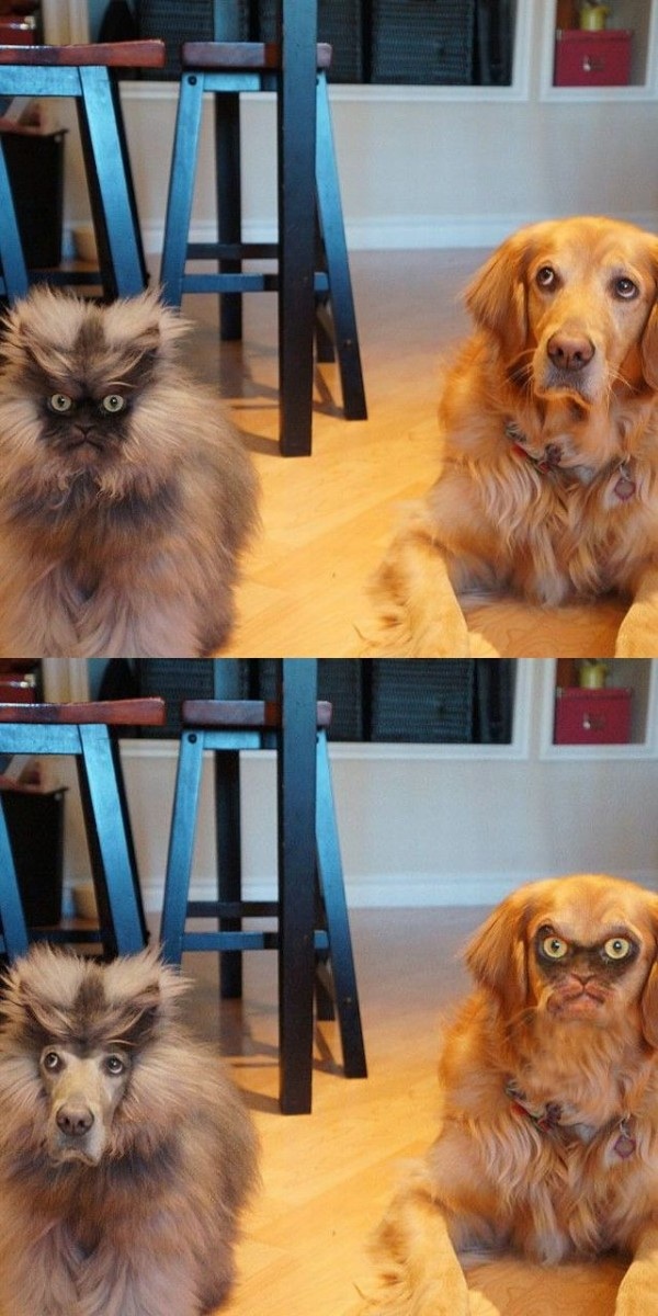 One of the better face swaps