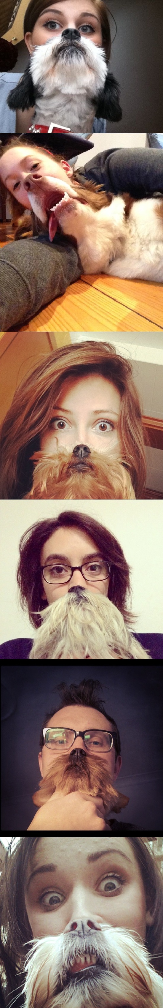 An alternative for dog people.