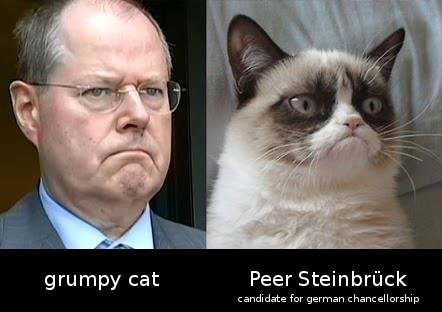 German chancellor candidate looks like grumpy cat