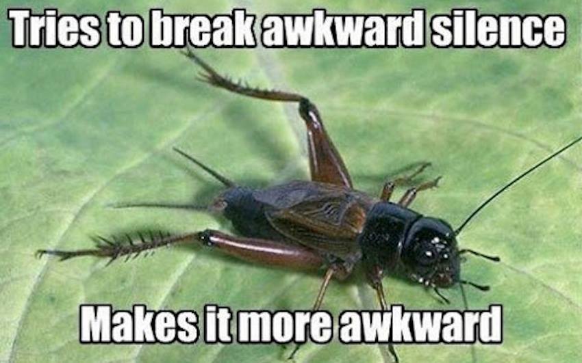 Misunderstood cicada