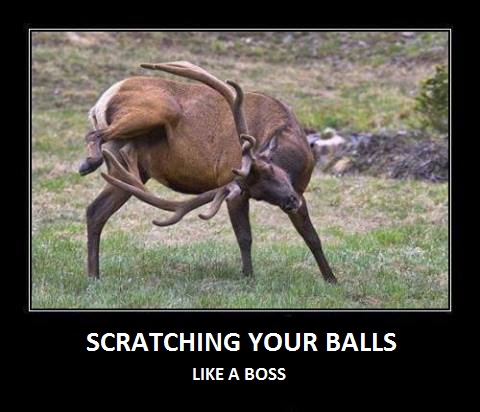 Like a boss!