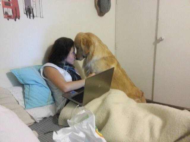 You are my human...and you're really getting in the way of me checking my emails...
