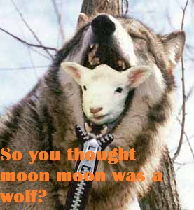 So moon moon was an imposter... Explains alot actually.