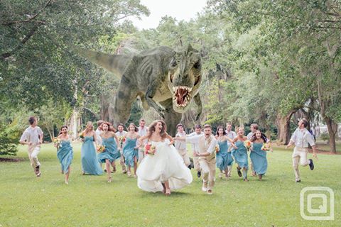 Best wedding photo ever!