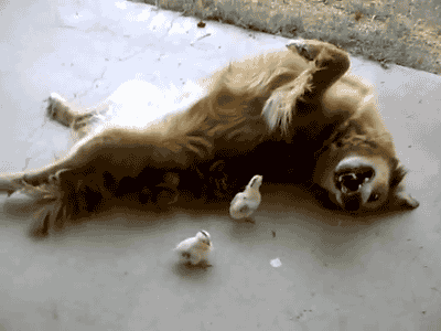 Just hangin' with some chick