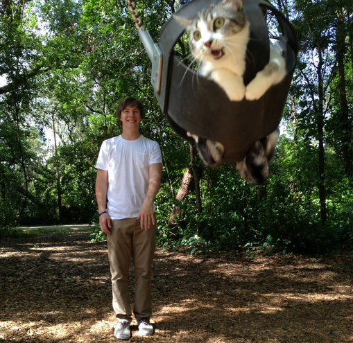 put me down stupid human